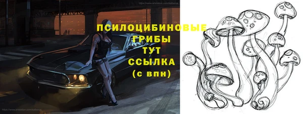 мяу мяу кристалл Пионерский
