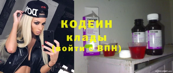 тгк Лагань