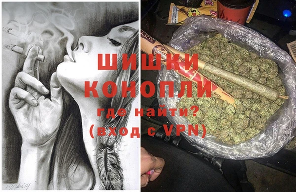 дурь Лабытнанги
