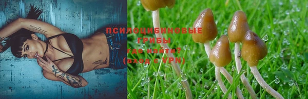 дурь Лабытнанги